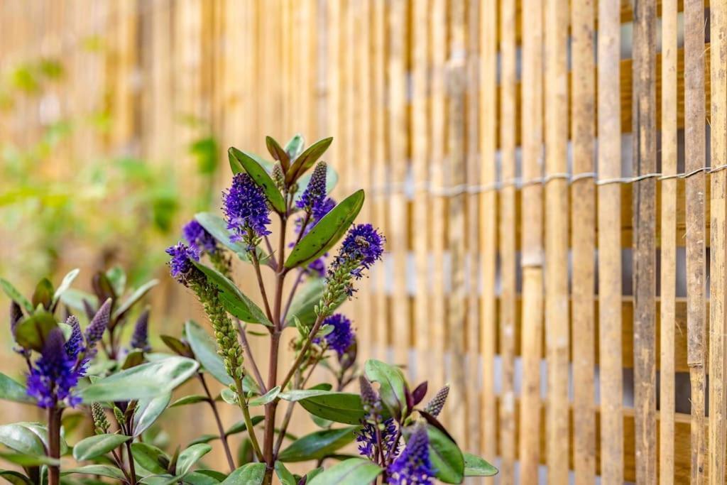 The Lymington Sailor'S Cottage Ngoại thất bức ảnh